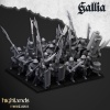 men_at_arms_de_gallia_old_world