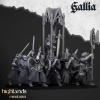 reliquaire_de_gallia_old_world