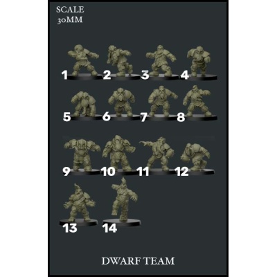 dwarf_team_x14